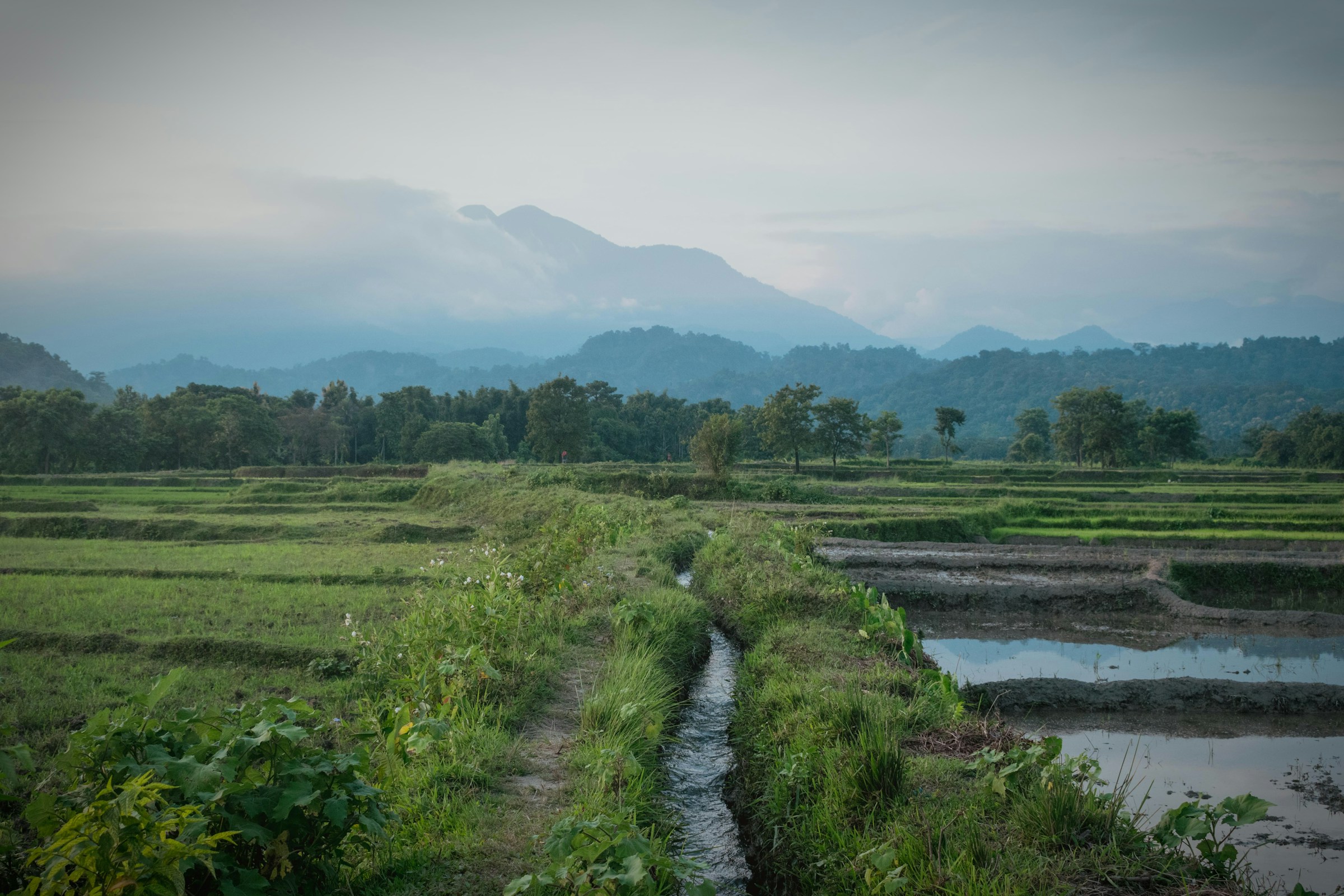 Rainwater Harvesting