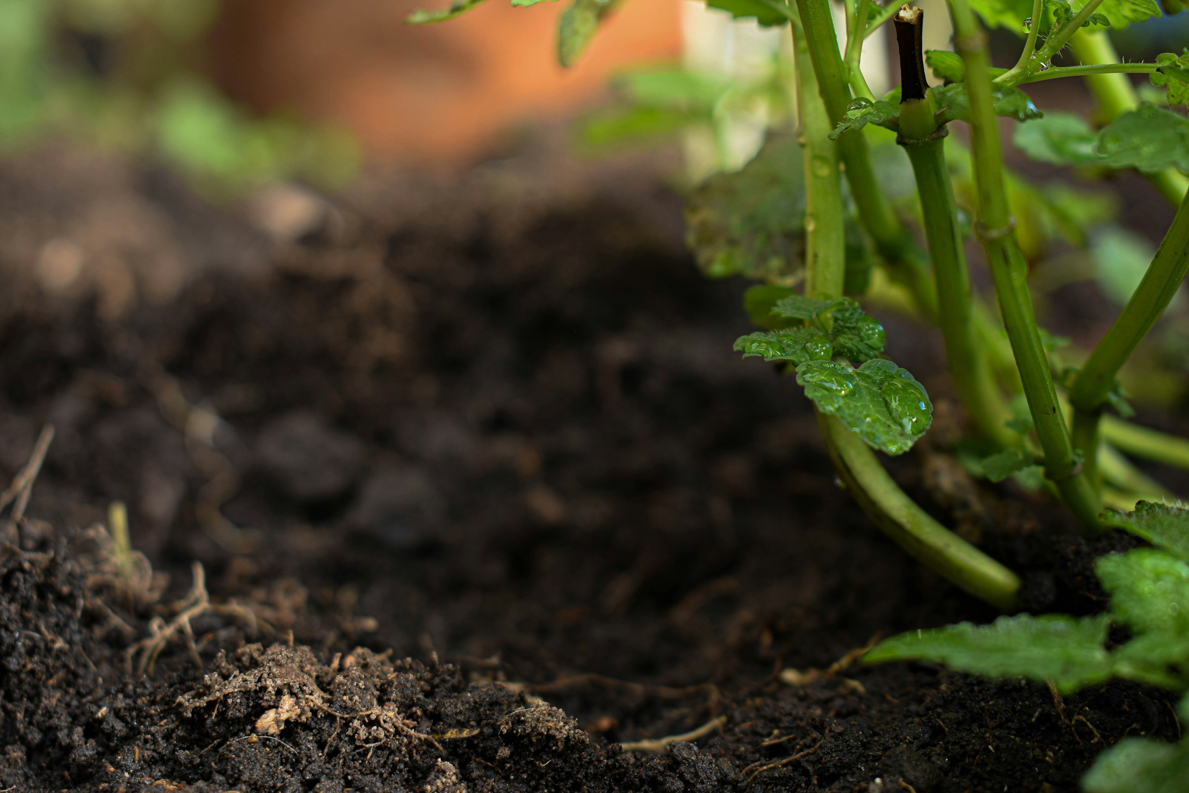 Soil Health